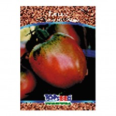 2105 - SEMENTE TOMATE SANTA CRUZ C/ 20