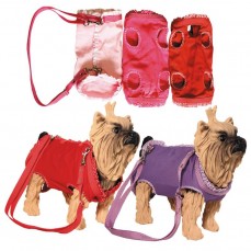 4972 - SACO TRANSPORTE (765) FEMEA G