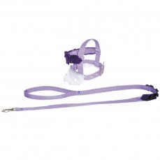 3485 - CONJ GUIA PEITORAL BABADO N  05