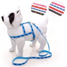 759 - CONJ GUIA PEITORAL PATA/ OSSO N  0