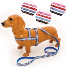 801 - CONJ GUIA PEITORAL DOG N  0