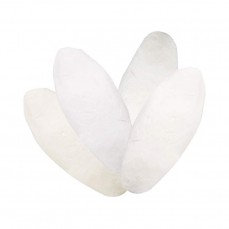 1547 - OSSO DE SIBA 500G