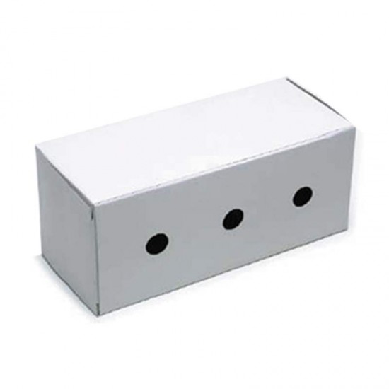 TRANSPORTE P/ PASSAROS  PAPELAO C/ 10PC