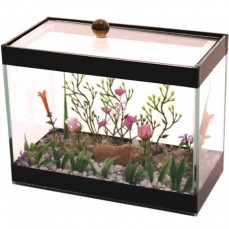 372 - BETEIRA GRANDE DECORADA