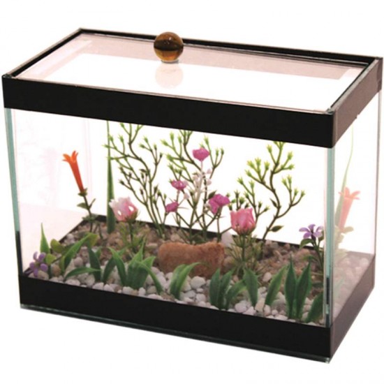 BETEIRA GRANDE DECORADA