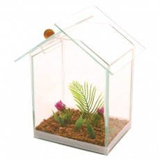 379 - BETEIRA CASINHA GRANDE DECORADA