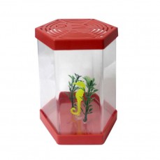 757 - BETEIRA PLASTICA SEXTAVADA DECORADA*