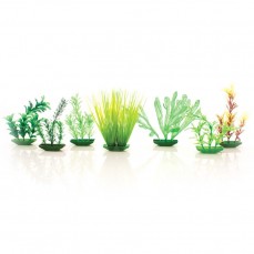 753 - PLANTA PLASTICA PEQUENA STILLPET