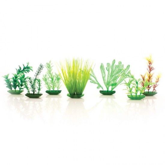 PLANTA PLASTICA PEQUENA STILLPET