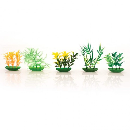 PLANTA PLASTICA MINI STILLPET