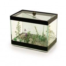 1398 - BETEIRA MAGICA GRANDE DECORADA