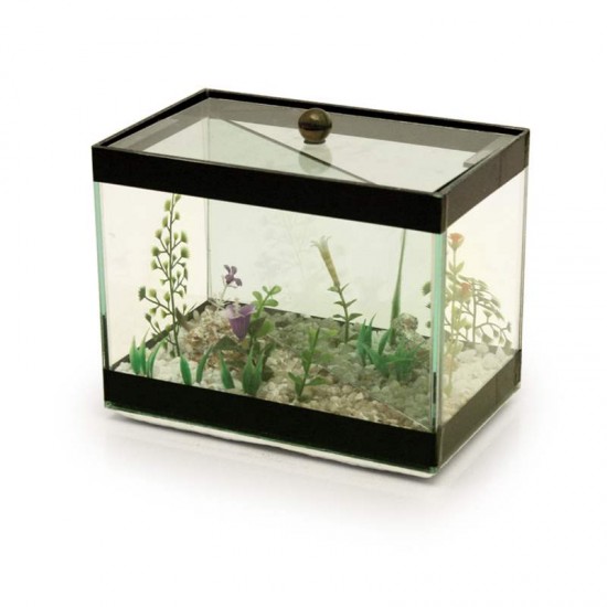 BETEIRA MAGICA GRANDE DECORADA