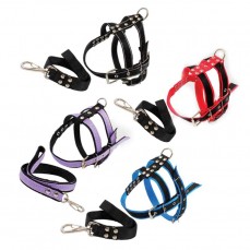 6257 - CONJ GUIA PEIT REFORC GRANDE PORTE GG