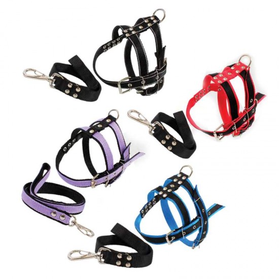 CONJ GUIA PEIT REFORC GRANDE PORTE GG