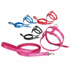 6264 - CONJ GUIA PEITORAL PAETE N 0