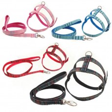 6259 - CONJ GUIA PEITORAL XADREZ N 1