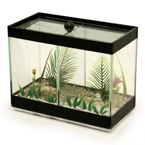 BETEIRA GRANDE DUPLA DECORADA