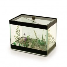 6759 - BETEIRA MAGICA MEDIA DECORADA