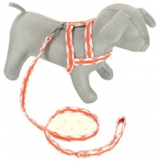 7575 - CONJ P.GUIA MEU BICHO MACHO N  2