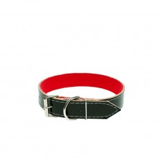 8984 - COLEIRA TATI FORRADA N  1 C/6