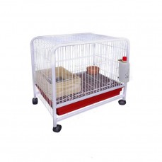 10250 - Z COELHEIRA ESTRELA TUBOLAR (40)