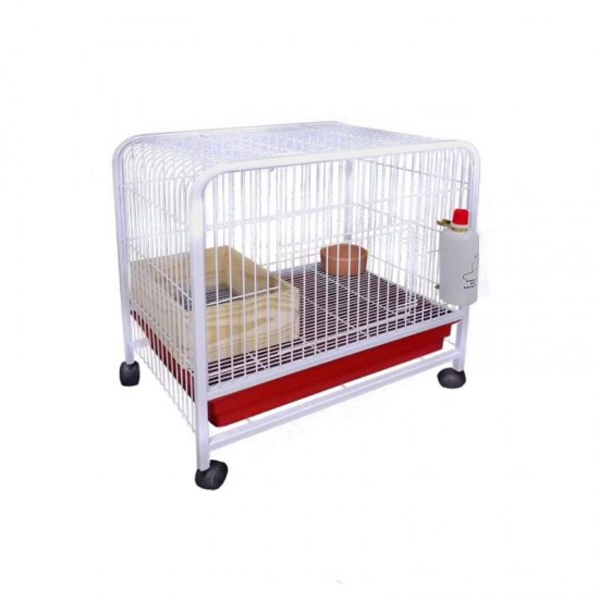 Z COELHEIRA ESTRELA TUBOLAR (40)