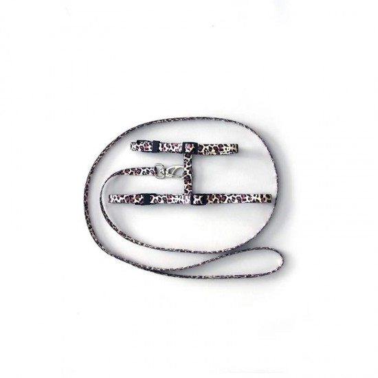 GUIA PEIT. REG. SEDA P/ GATOS 3009