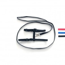 10778 - GUIA PEIT. REG. CL P/ GATOS 3010