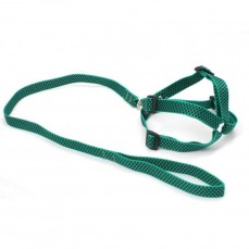 10731 - CONJ GUIA PEITORAL AMERIC BORDADO N  06