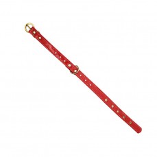 6835 - COLEIRA VINIL VERNIZ STRASS N 4 (2116)