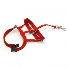 6868 - COLAR TREINAMENTO TP.LUXO MEDIO (2942)