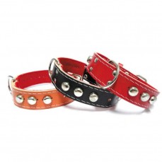 8982 - COLEIRA TATI FORRADA C/ CRAVO N  8 C/3