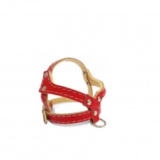 8994 - PEITORAL TATI EVA N  1 C/3