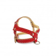 8996 - PEITORAL TATI EVA N  3 C/3