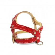 8999 - PEITORAL TATI EVA N  6 C/3