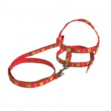 785 - CONJ GUIA PEITORAL COLORIDO N  01