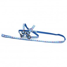 10721 - CONJ GUIA PEITORAL AMERICANA PATA N  02